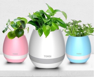 611873291542081720197_party0.jpg 611873291542081720197_party0.jpg